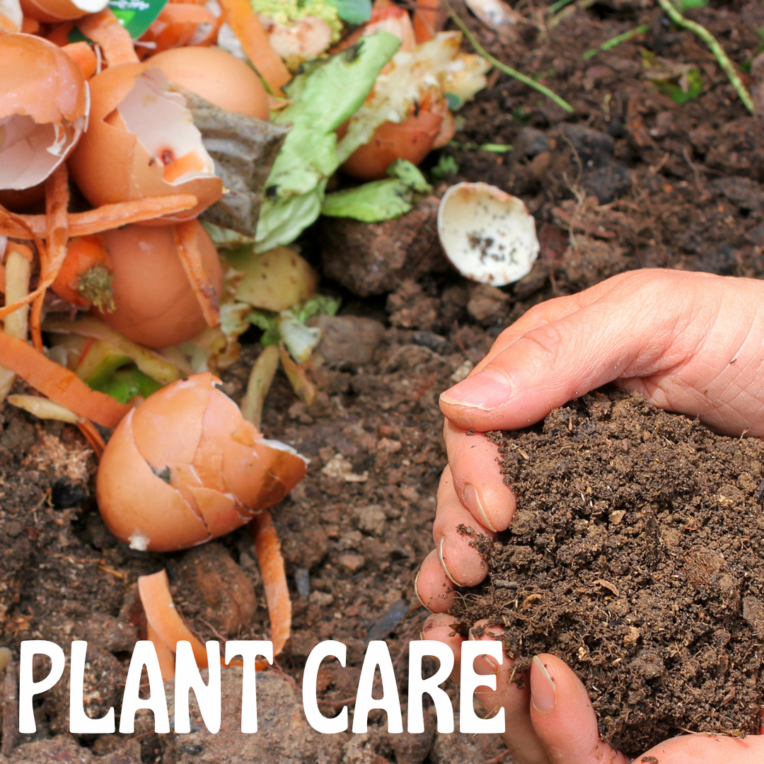 Plant Care🌿