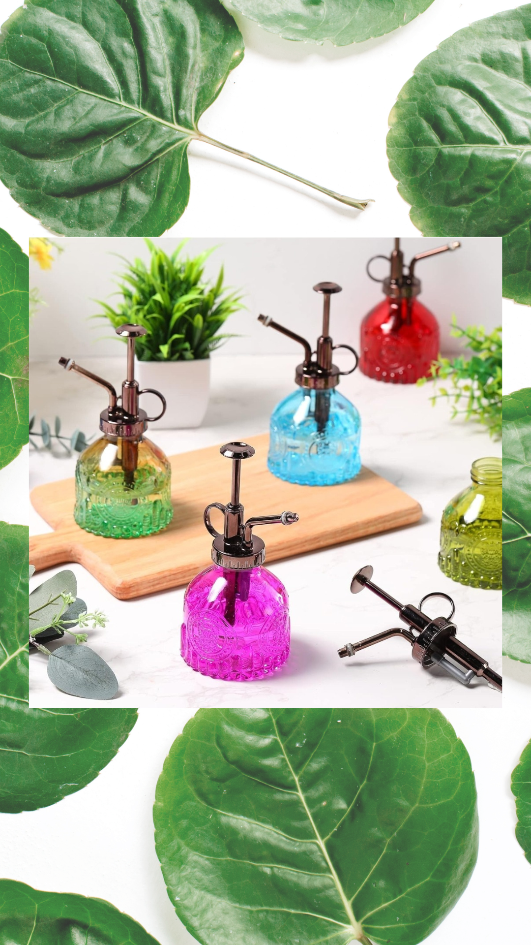 Glass Plant Mister Spray Bottles