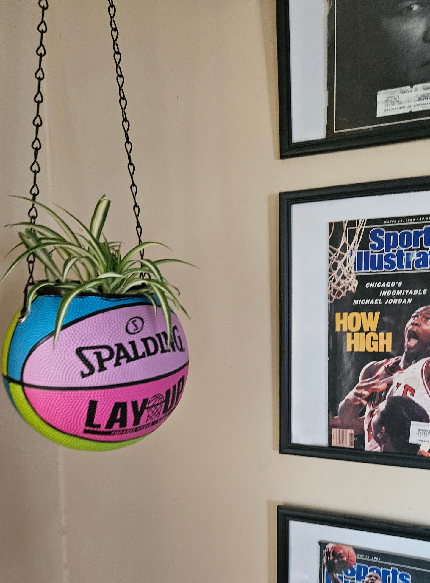 A Nike Swoosh Skills Mini Hanging  Basketball Planter