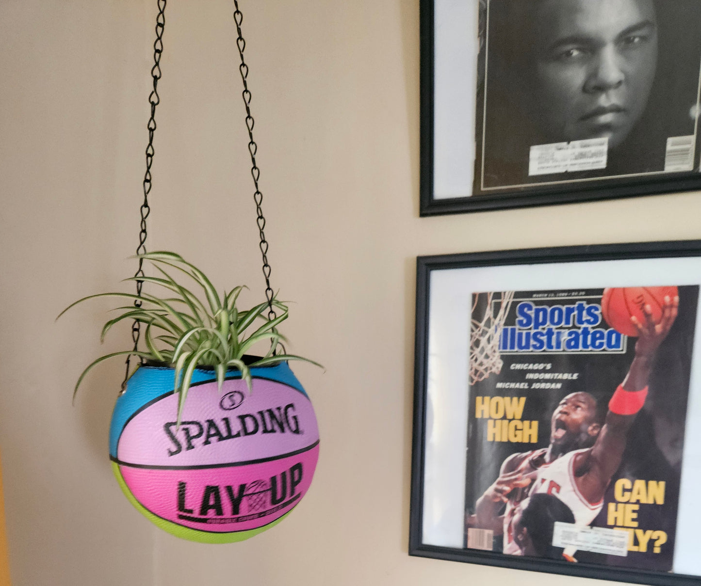 A Nike Swoosh Skills Mini Hanging  Basketball Planter