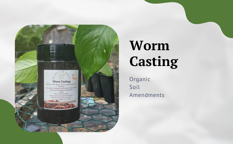 ORGANIC WORM CASTING PLANT FOOD