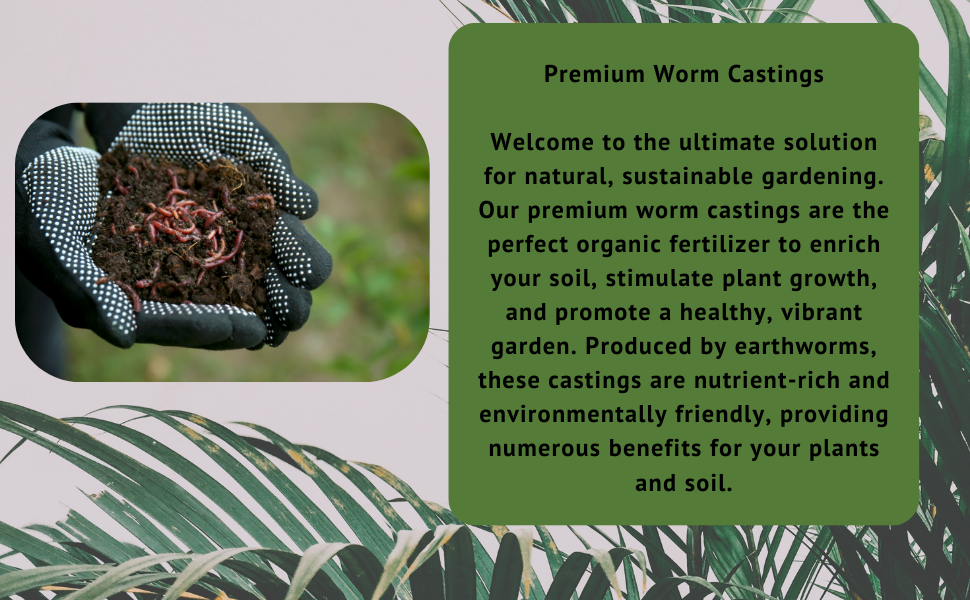 ORGANIC WORM CASTING PLANT FOOD