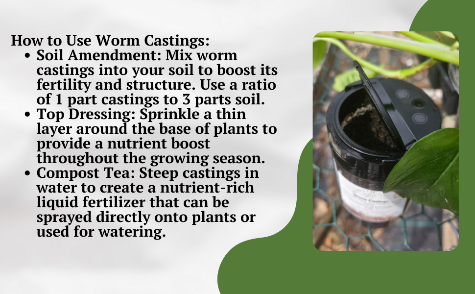 ORGANIC WORM CASTING PLANT FOOD