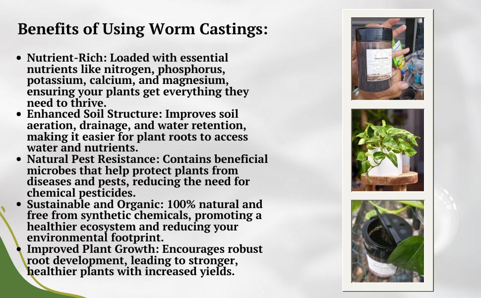 ORGANIC WORM CASTING PLANT FOOD